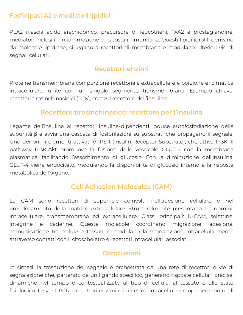 Riassunto di Biochimica della nutrizione e nutraceutica